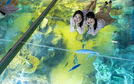 Echizen Matsushima Aquarium