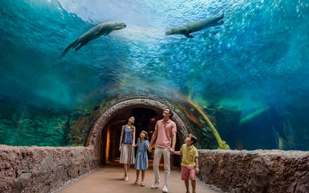 River Wonders — Asia's first and only river-themed wildlife park