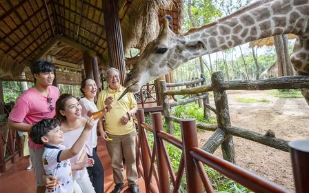 Interactive Animal Feeding & Dining