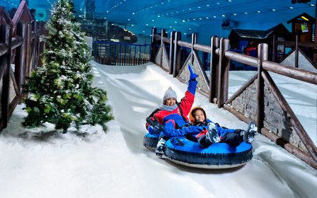 Toboggan and twin-track bobsled
