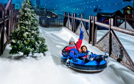 Toboggan and twin-track bobsled