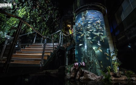 One of the top 5 aquariums in Asia