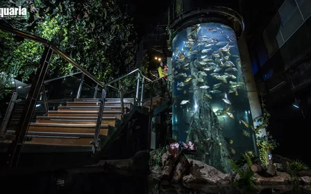 One of the top 5 aquariums in Asia