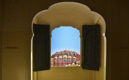 953 пчелни пити джарокхи
