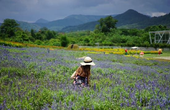 jessicachaw khao yai16