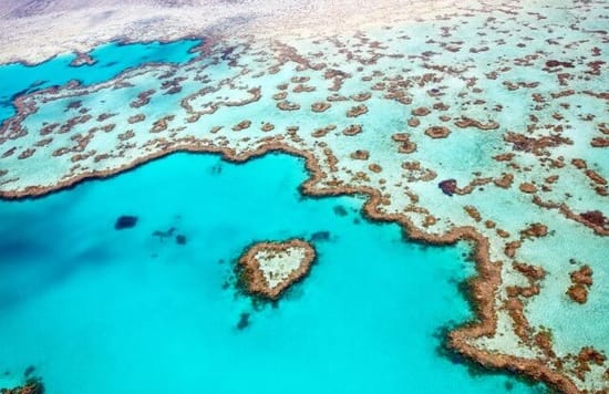 Great Barrier Reef Guide Heart shaped reef