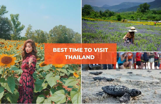 best time to visit thailand 13