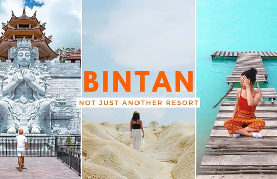 not resort bintan cover