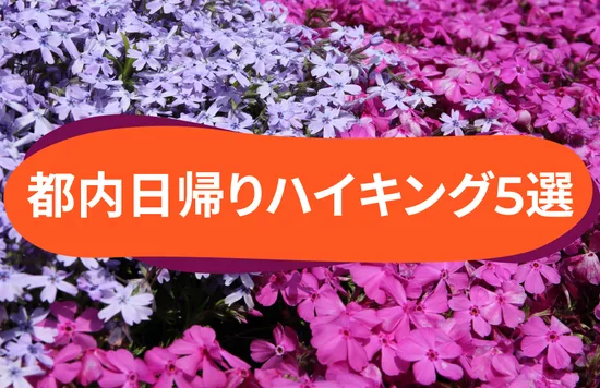 初心者も安心・東京から日帰り＆電車で行けるハイキングコース5選 [登山＆トレッキングもおすすめ]