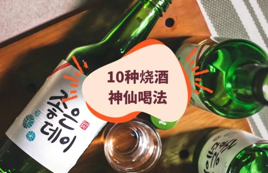 10种烧酒喝法