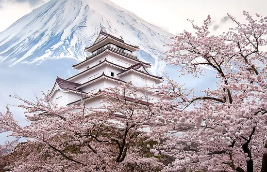 cam-nang-du-lich-nhat-ban-lan-dau