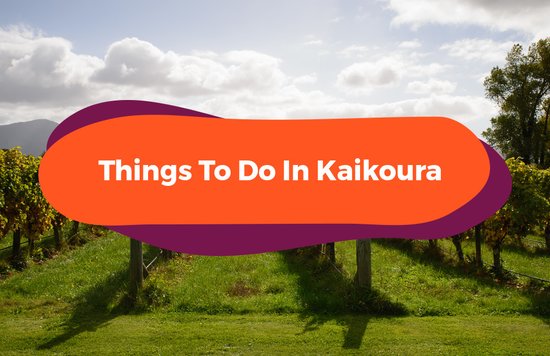 things to do in kaikoura