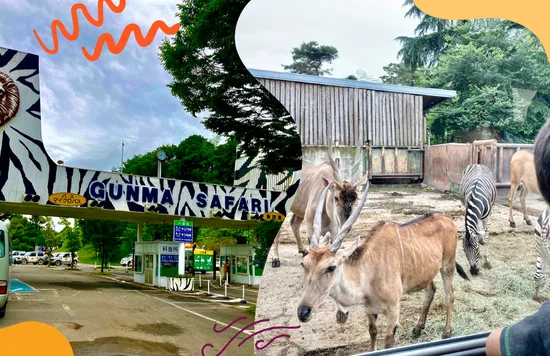 [2020最新レポ] 動物との距離の近さに度肝！群馬サファリパークの「飼育体験バス」に乗ってみた。