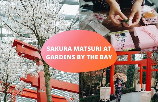 Sakura Matsuri Gardens by the Bay