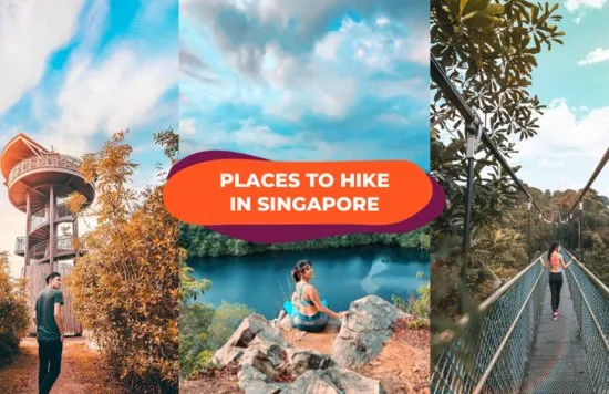 hiking in singapore trails 