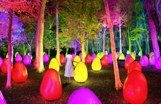 teamLab Resonating Life in the Acorn Forest