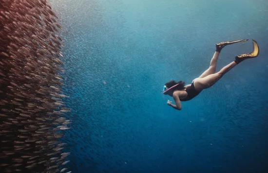 diving philippines
