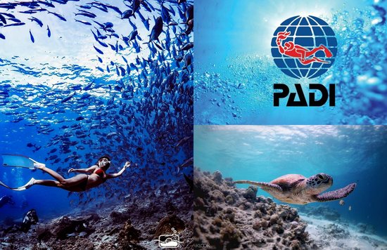 padi diving license 潛水證照