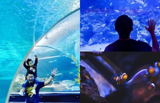 aquaria klcc tickets