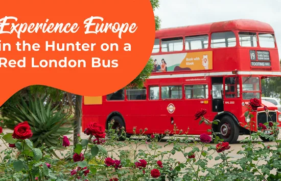 Hunter Valley Big Red London Bus