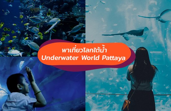 อันเดอร์วอเตอร์เวิลด์ พัทยา (Underwater World Pattaya) 