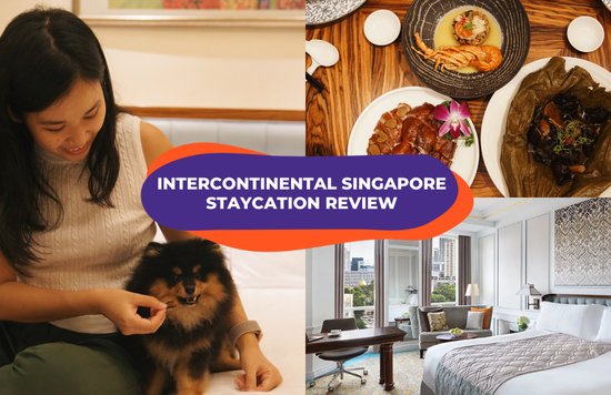 intercontinental singapore staycation review