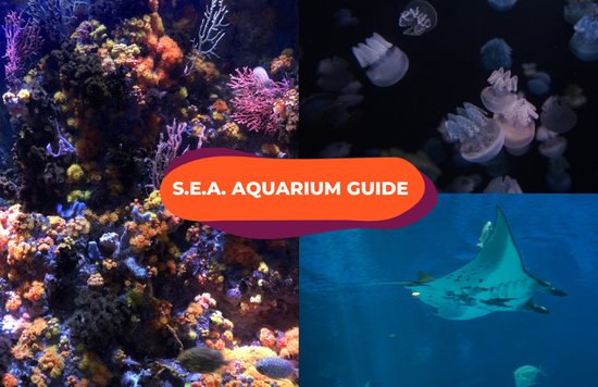 sea aquarium singapore