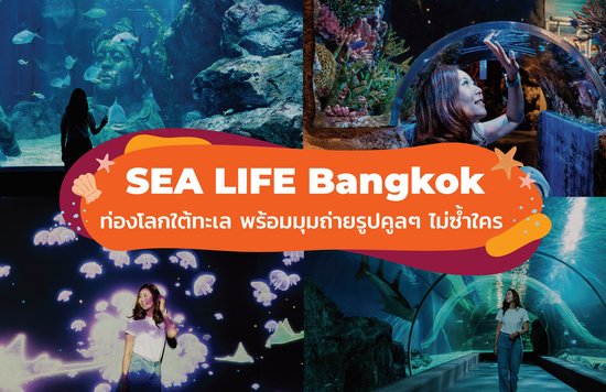 รีวิว พิพิธภัณฑ์ Sea Life Bangkok 2021 
