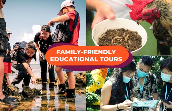 SG Family Friendly Educational Tours Blog Cover