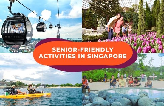 senior friendly activities cover image