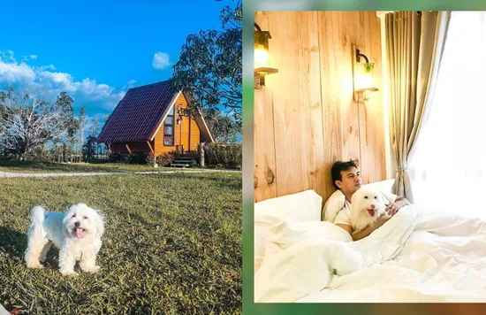 pet friendly resorts