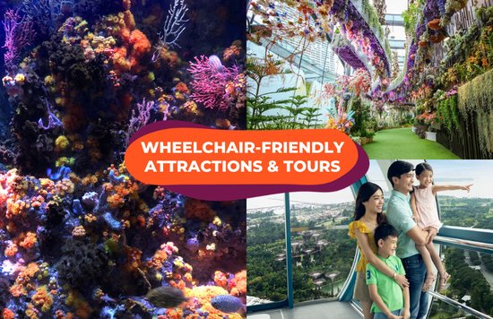 wheelchair friendly sg 