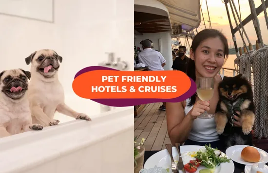 dog friendly sg cover