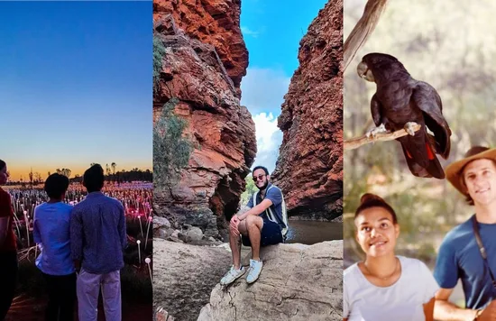Image credits: @exploreuluru, @exploreuluru, & @alicespringsdesertpark on Instagram