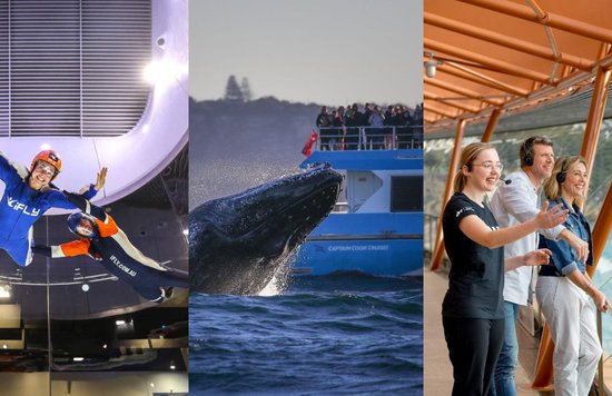Images - Klook & @whalewatchingsydney on Instagram