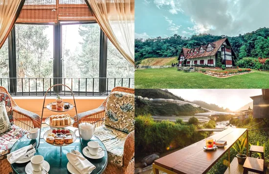 cameron highlands best hotels