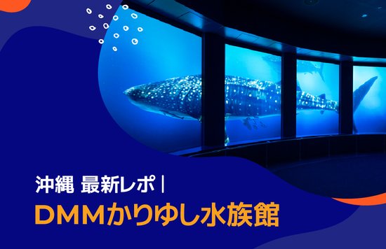 沖縄の最新スポット｜DMMかりゆし水族館 現地レポ Headbanner