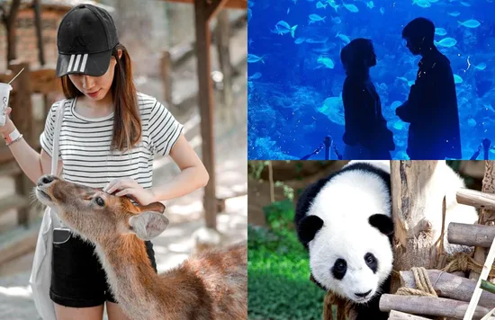 animal lovers zoo farm kl selangor