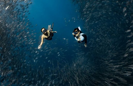 two women fishes underwater diving in the philippines