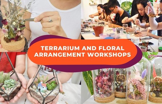 terrarium workshop cover image