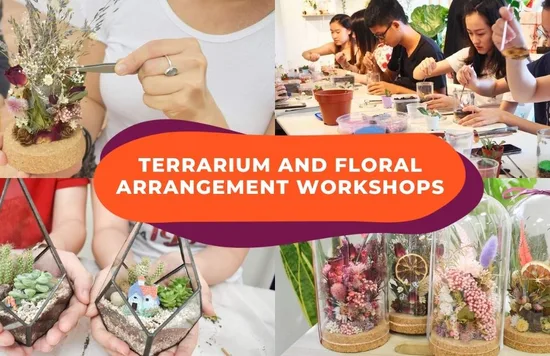 terrarium workshop cover image