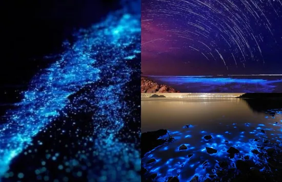 blue tears destinations malaysia