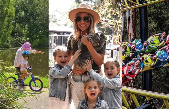 Image credits: @goldcoastbotanicgardens, @currumbinsanctuary, and @dreamworldau on Instagram