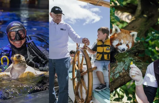 Image Credits: @sealifekellytarltons, @dstgeorgephoto, & @aucklandzoo on Instagram