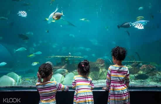 three kids at manila ocean park