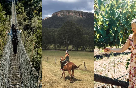 Image credits: @nat.goes.abroad, @weltenreiterin, and @dryridgeestate