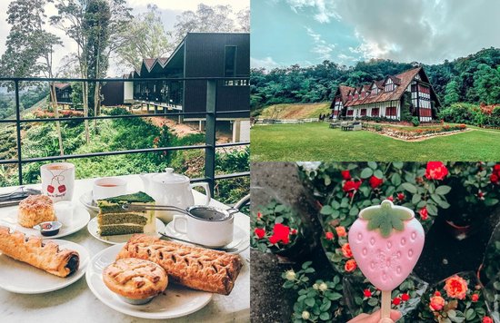  things to do in cameron highlands