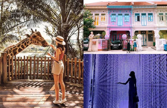 best things to do in singapore