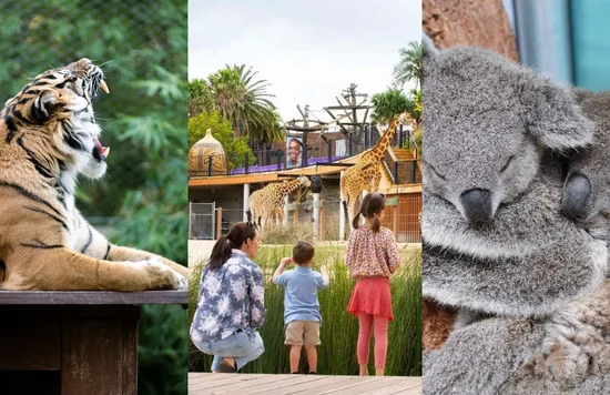 Taronga Zoo