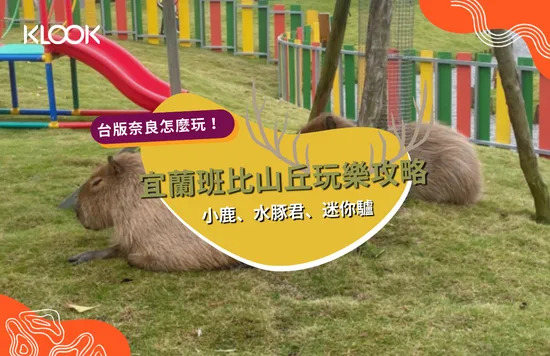 宜蘭斑比山丘台版小奈良餵鹿看水豚